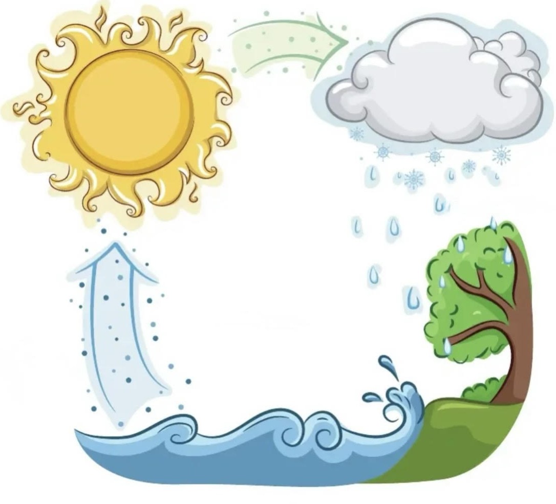 Jigsaw: Jigsaw Puzzle